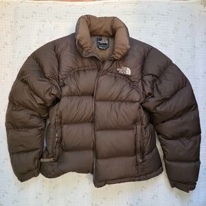 The North Face Brown Puffer 700 Fill Goose Down